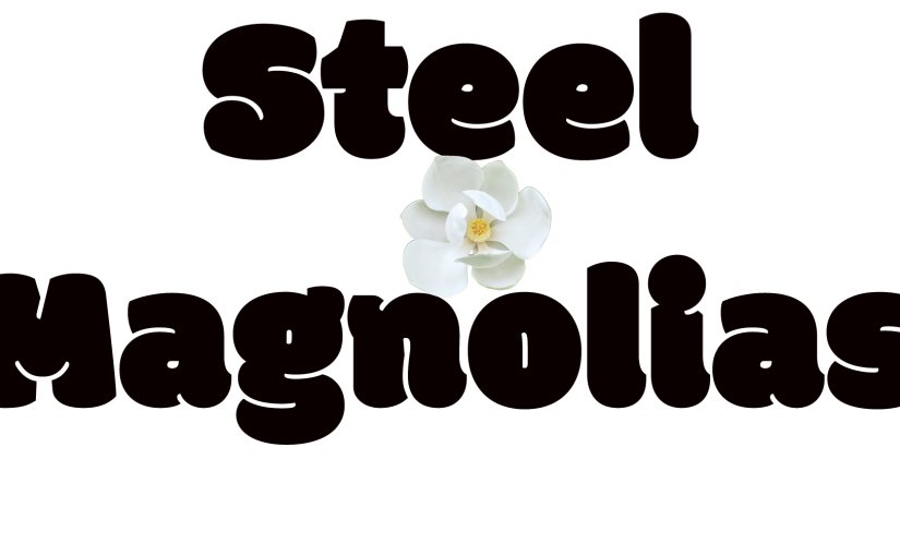 Auditions: Saturday May 18 at 1:00pm and Sunday May 19 at 1:00pm for Steel Magnolias!